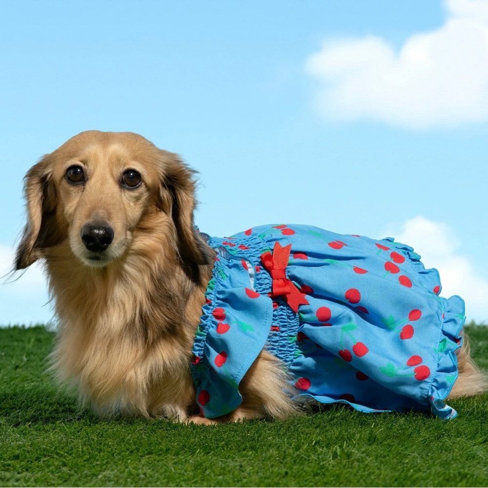 NEW! Cherry Dress Dog Apparel